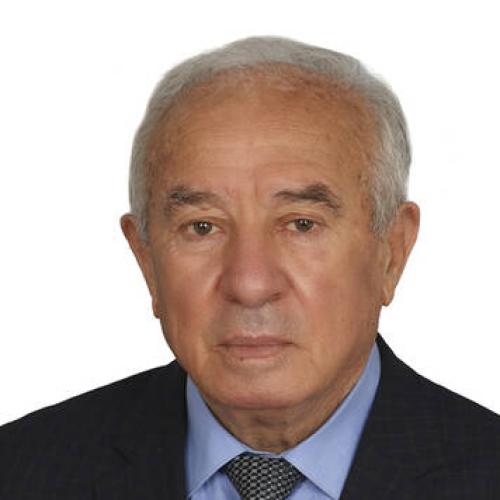 Ali Topçu